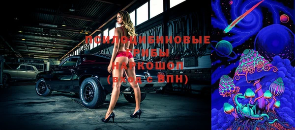 шишки Абинск