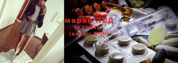 шишки Абинск